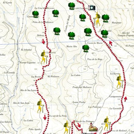 Mapa Trashumancia