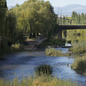 Riberas del Bernesga