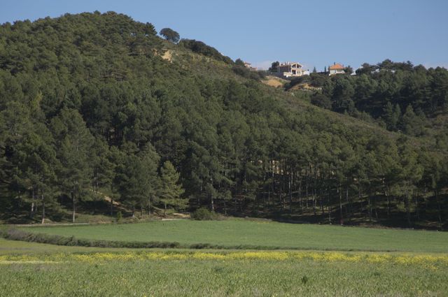 La Candamia