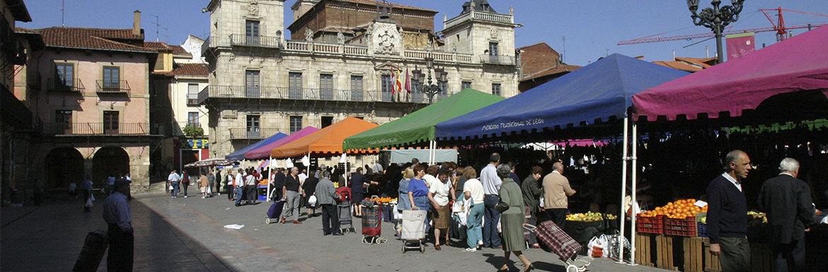 Mercado Plaza Mayor