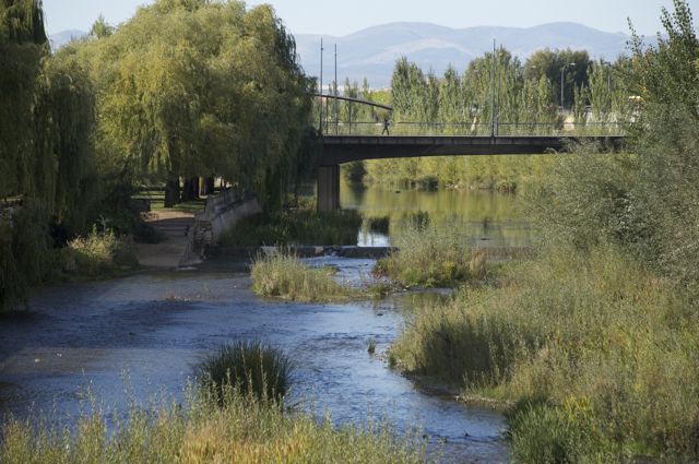 Rio Bernesga