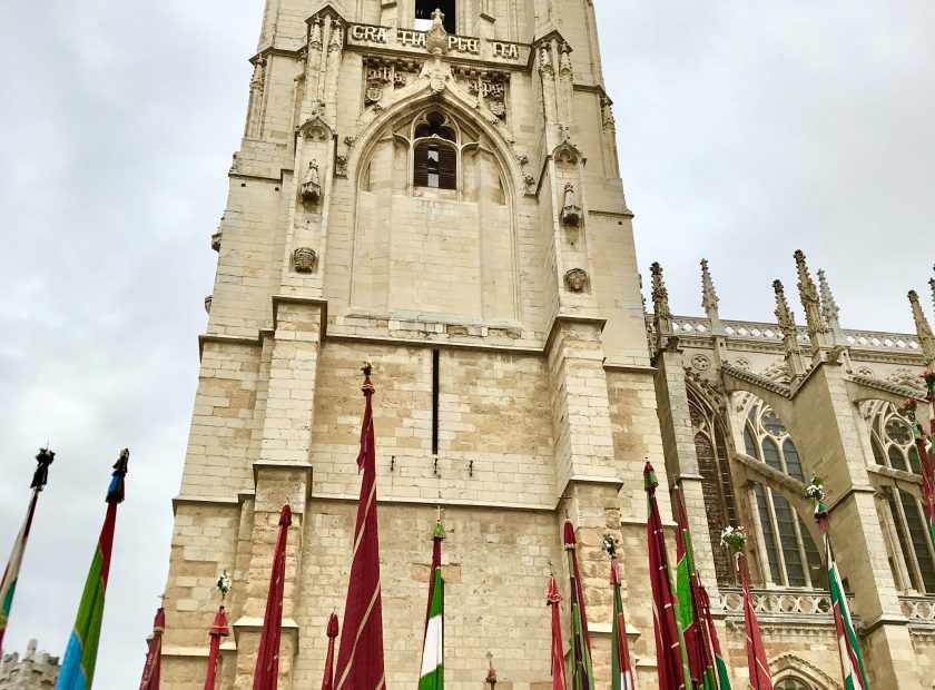 Pednones Tradicionales