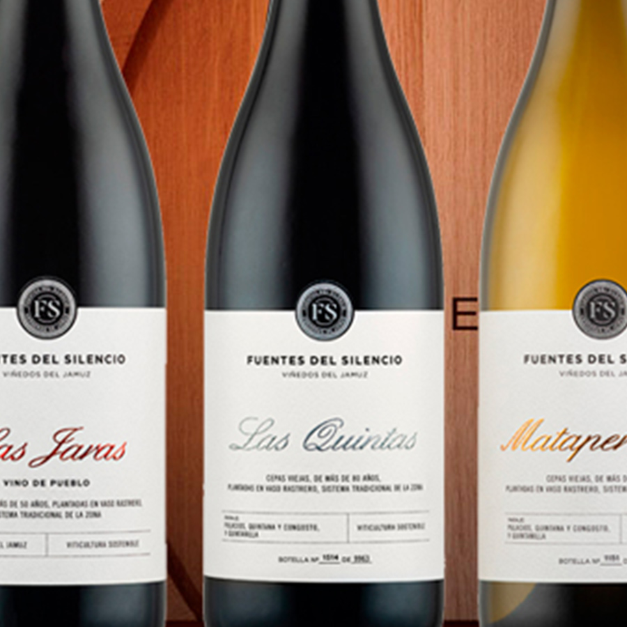 EXPERIENCIA-MARIDAJE-VINO-Y-CHOCOLATE-FUENTES-DEL-SILENCIO-GALERIA-01