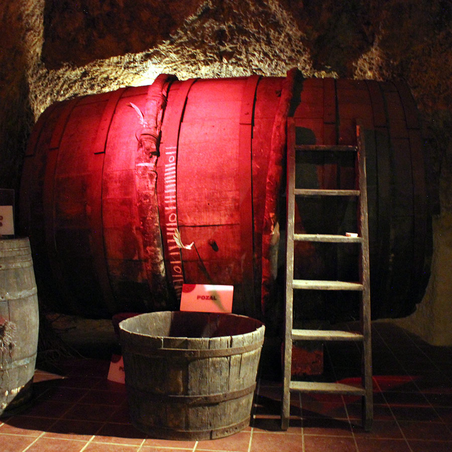 EXPERIENCIA-MUSEO-DEL-VINO-VALDEVIMBRE-GALERIA-01