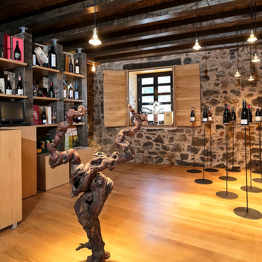 EXPERIENCIA-PITTACUM-UNICO-GALERIA-02