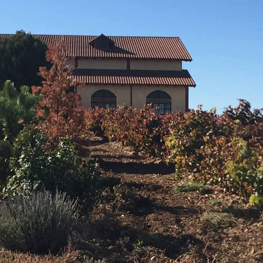 EXPERIENCIA-VISITA-BODEGA-MARCOS-MIÑAMBRES-GALERIA-02