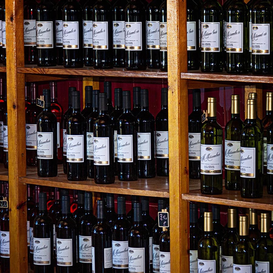 EXPERIENCIA-VISITA-BODEGA-MARCOS-MIÑAMBRES-GALERIA-03