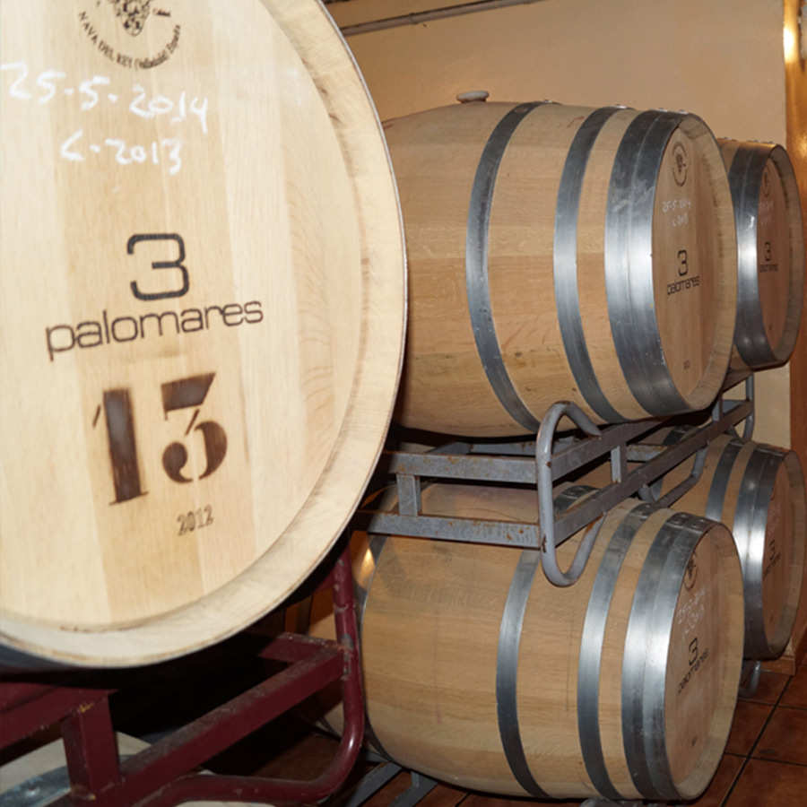 EXPERIENCIA-VISITA-BODEGA-PALOMARES-GALERIA-01