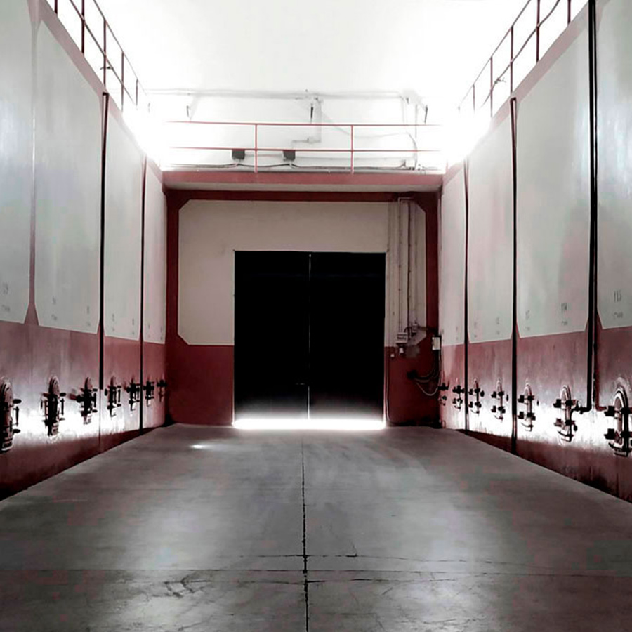 EXPERIENCIA-VISITA-BODEGA-VIÑAS-DEL-BIERZO-GALERIA-03