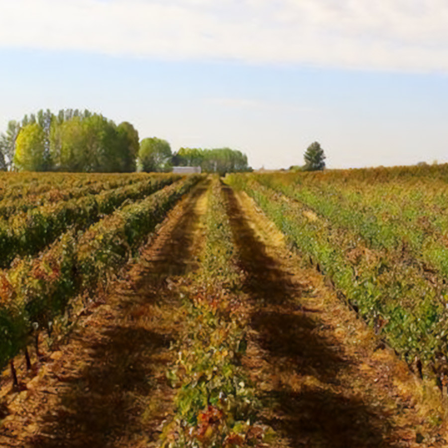 EXPERIENCIA-VISITA-BODEGAS-JULIO-CRESPO-GALERIA-02